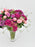 Celosia Beauty