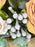 Toffee Money Garden
