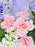 Pastel Blossoms