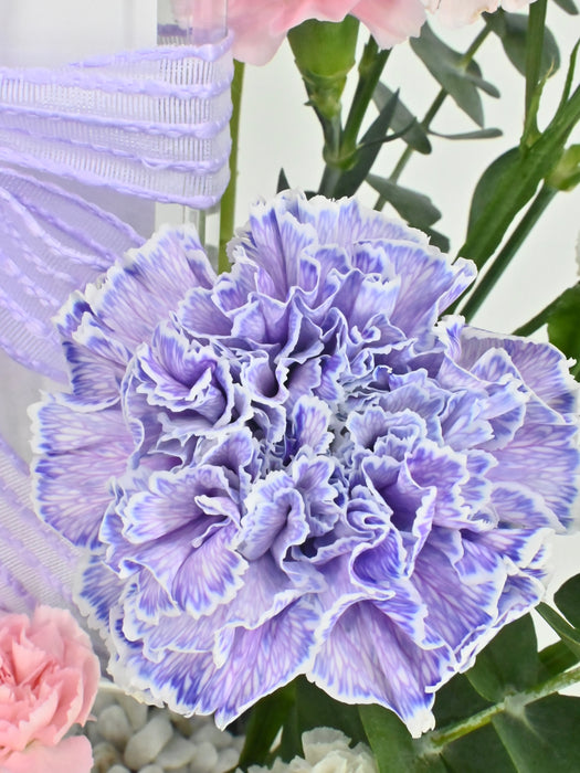 Pastel Blossoms