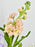 Pastel Blossoms