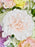 Deco Pastel
