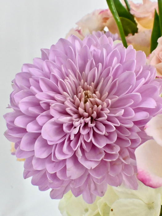 Deco Pastel