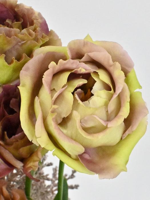 Eustoma Garden