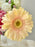 Sweet Floral Blush Reverie