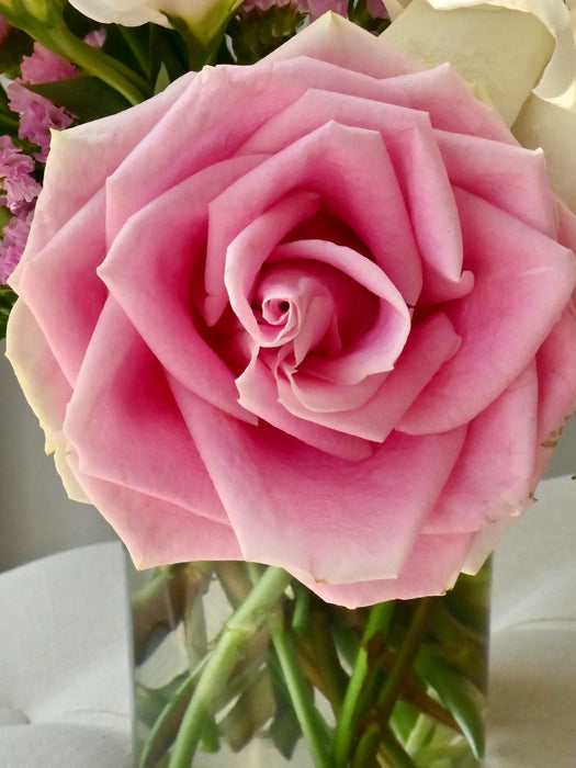 Sweet Floral Blush Reverie