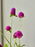 Vibrant Bloom Flower Basket