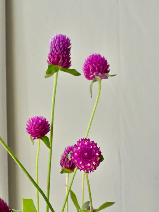 Vibrant Bloom Flower Basket