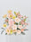 Tri Peach Garden