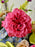 Vibrant Bloom Flower Basket