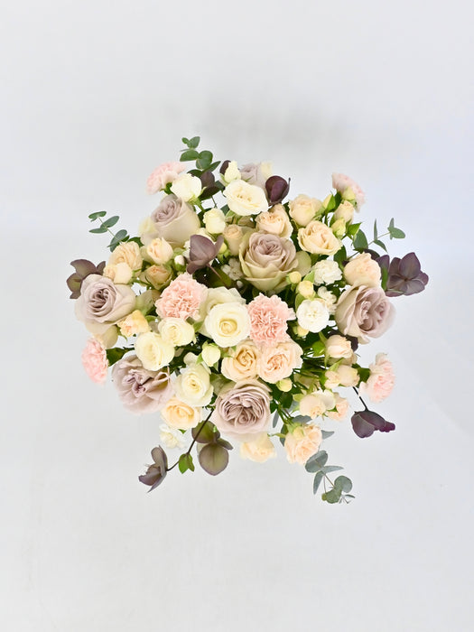 Pastel Beauty