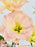 Tri Peach Garden