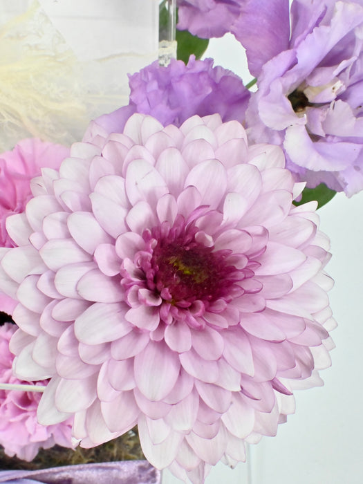 Purple Rim Garden