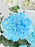 Blue & White Garden