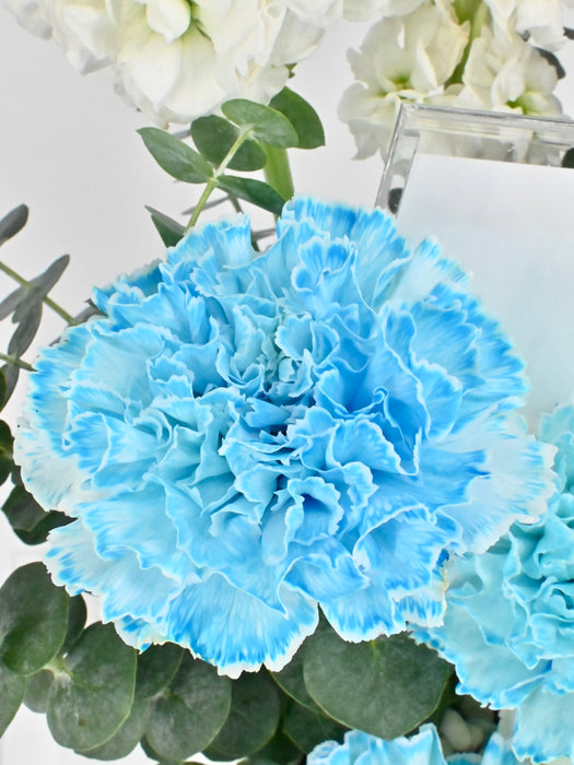 Blue & White Garden