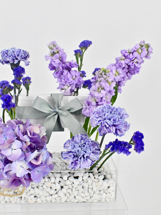 Purple Shades