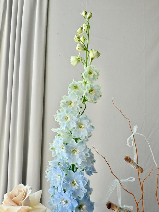 Azure Flower Serenity Money Gift