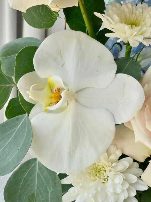 Azure Flower Serenity Money Gift
