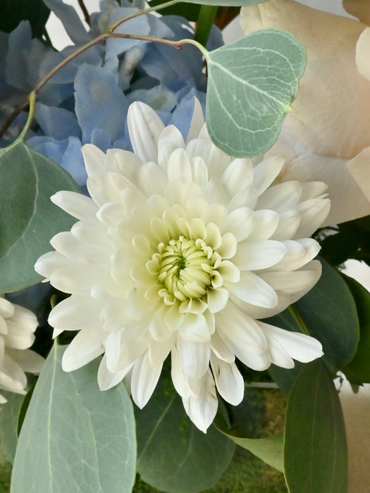 Azure Flower Serenity Money Gift