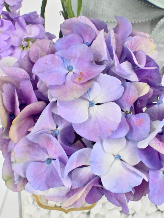 Purple Shades