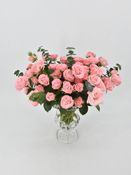 Bombastic Blooms