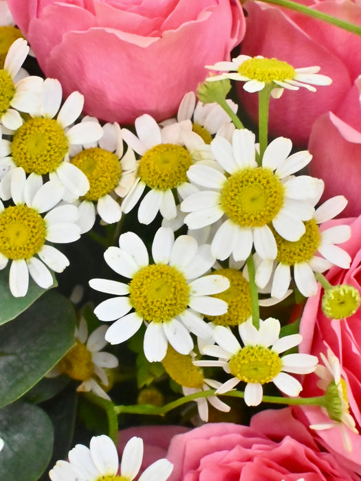 Sp Dimension Bouquet
