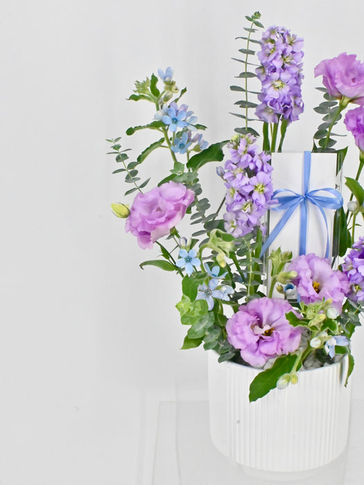 Oxy Lilac Garden