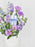 Oxy Lilac Garden