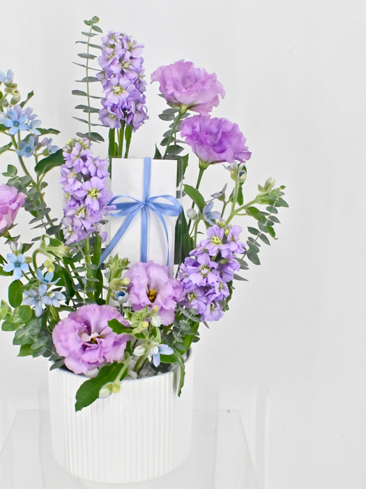 Oxy Lilac Garden