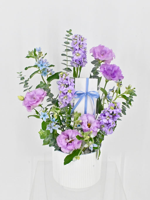 Oxy Lilac Garden
