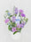 Oxy Lilac Garden