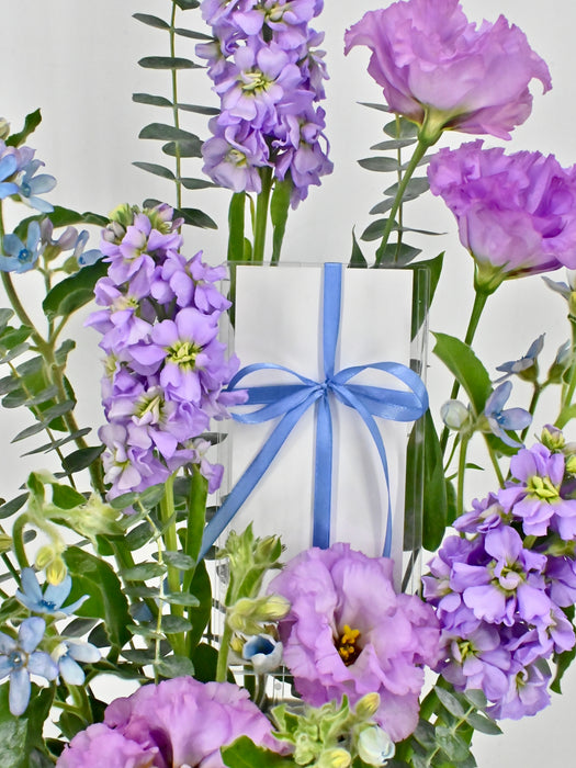 Oxy Lilac Garden