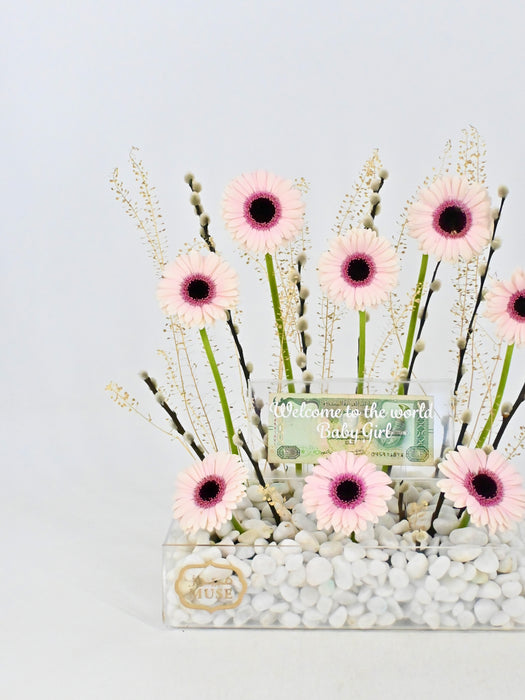 Abby Lou Money Garden