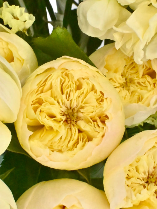Lemon Royal
