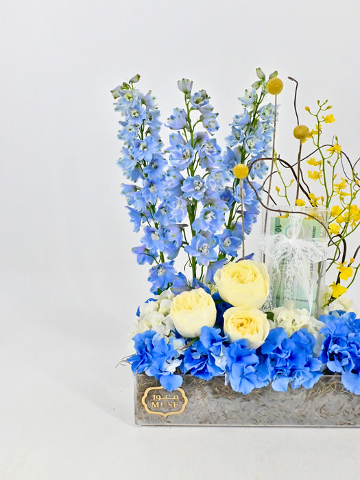 Skylar Money Arrangement