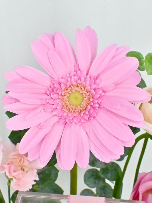 Love Pink Garden