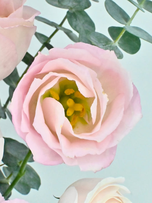 Love Pink Garden