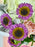 Gorgeous Bouquet