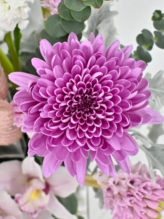 Flair Garden