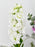 Flair Garden