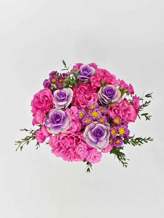 Pink Purple Empire