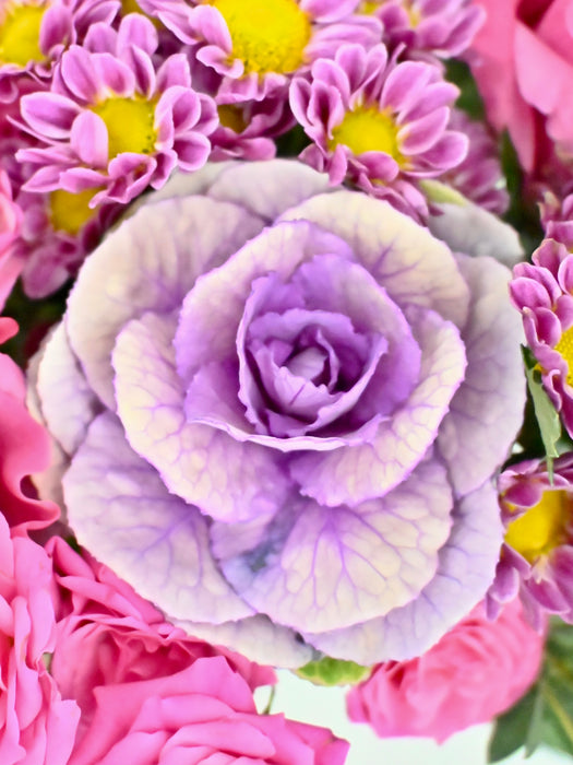 Pink Purple Empire