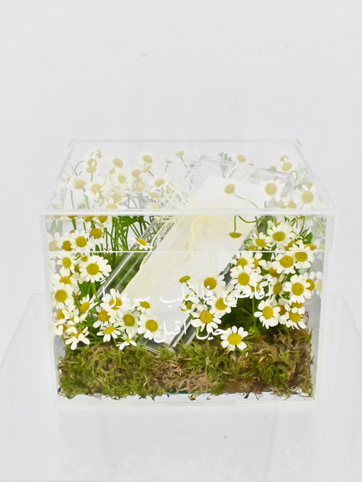 Tana Money Box for Baby Boy