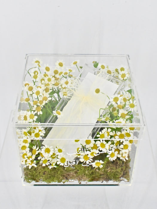 Tana Money Box for Baby Boy