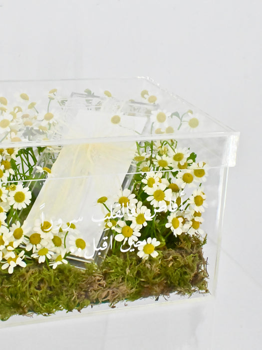 Tana Money Box for Baby Boy