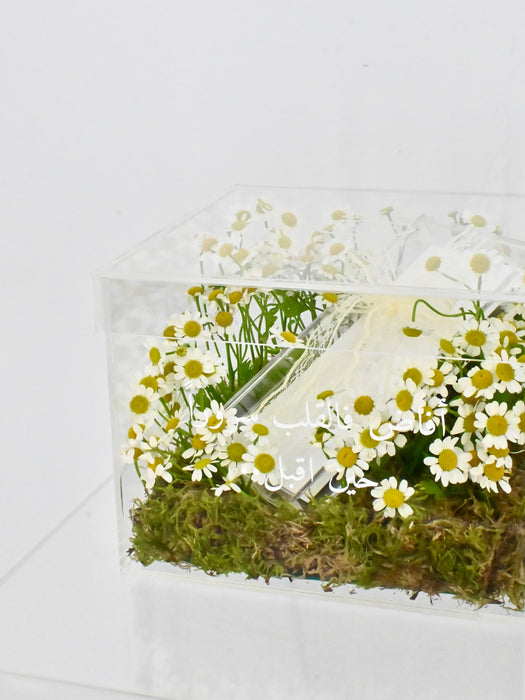 Tana Money Box for Baby Boy