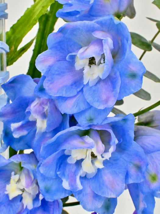 Elegance Blue Garden