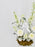 Royalty White Garden