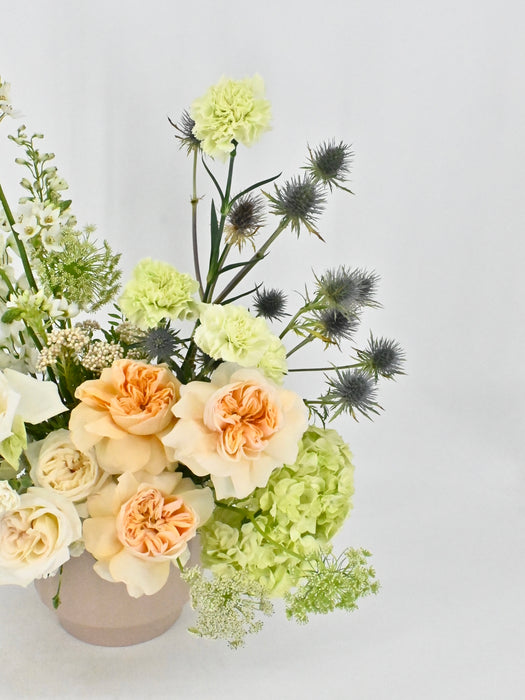 Garden Roses