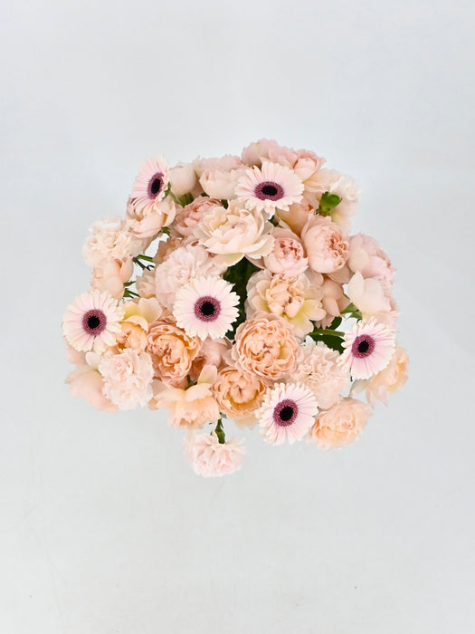 Peach Blush